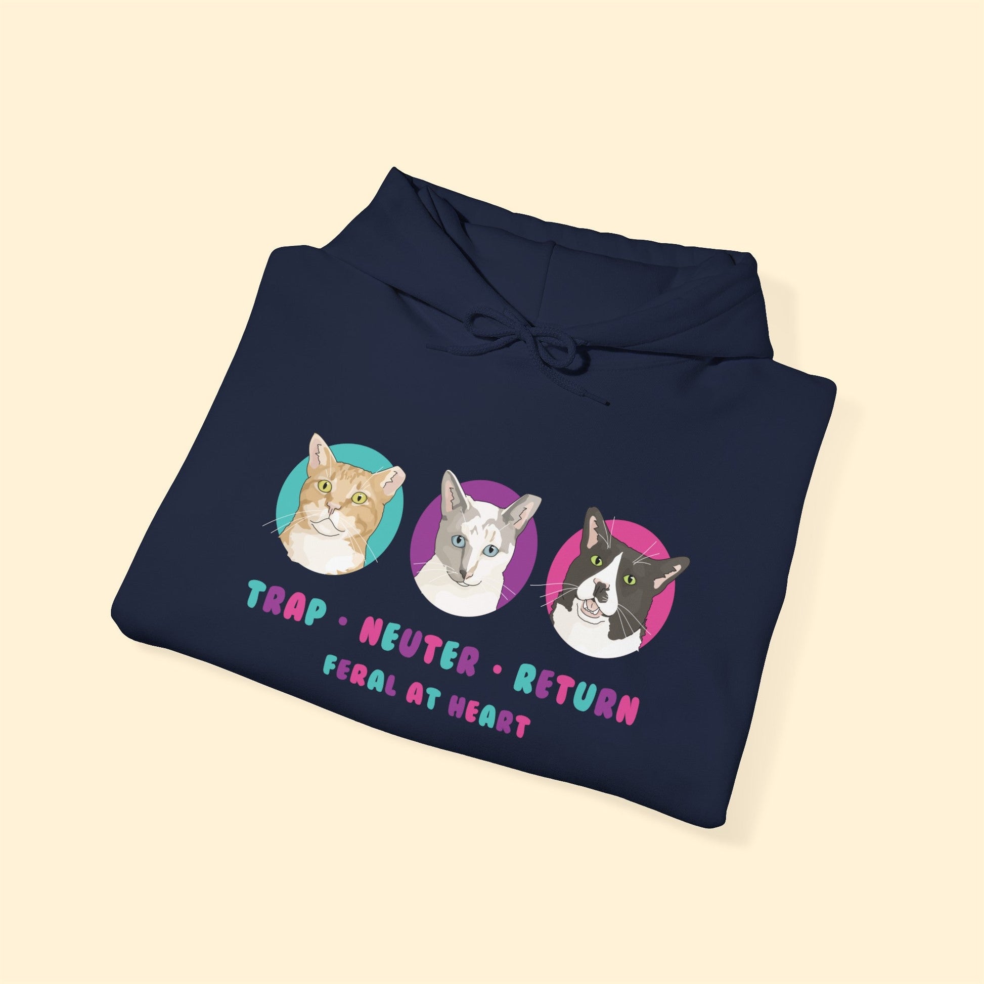 Colorful Kitties | FUNDRAISER for Feral At Heart | Hooded Sweatshirt - Detezi Designs-10322163244699682309