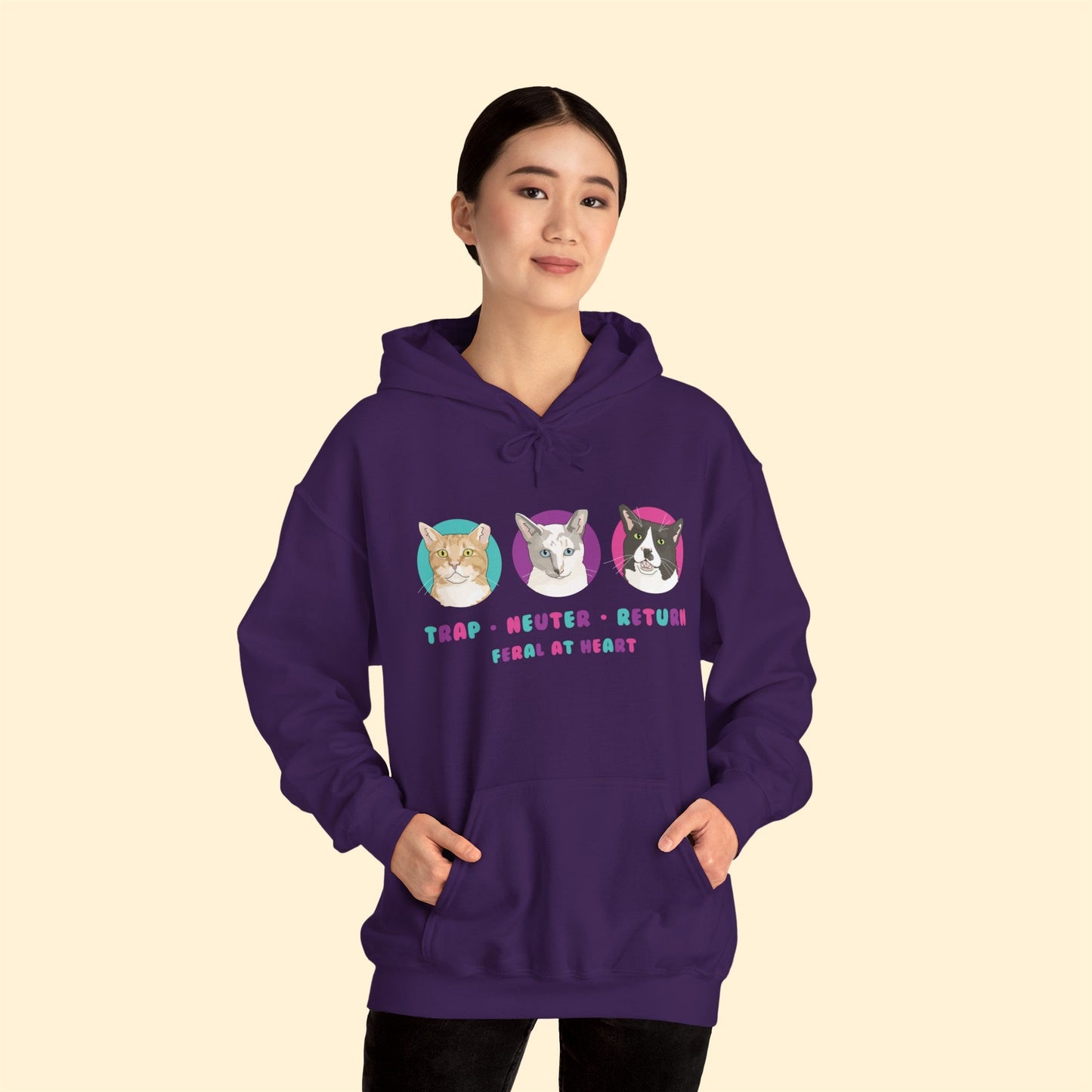 Colorful Kitties | FUNDRAISER for Feral At Heart | Hooded Sweatshirt - Detezi Designs-10322163244699682309