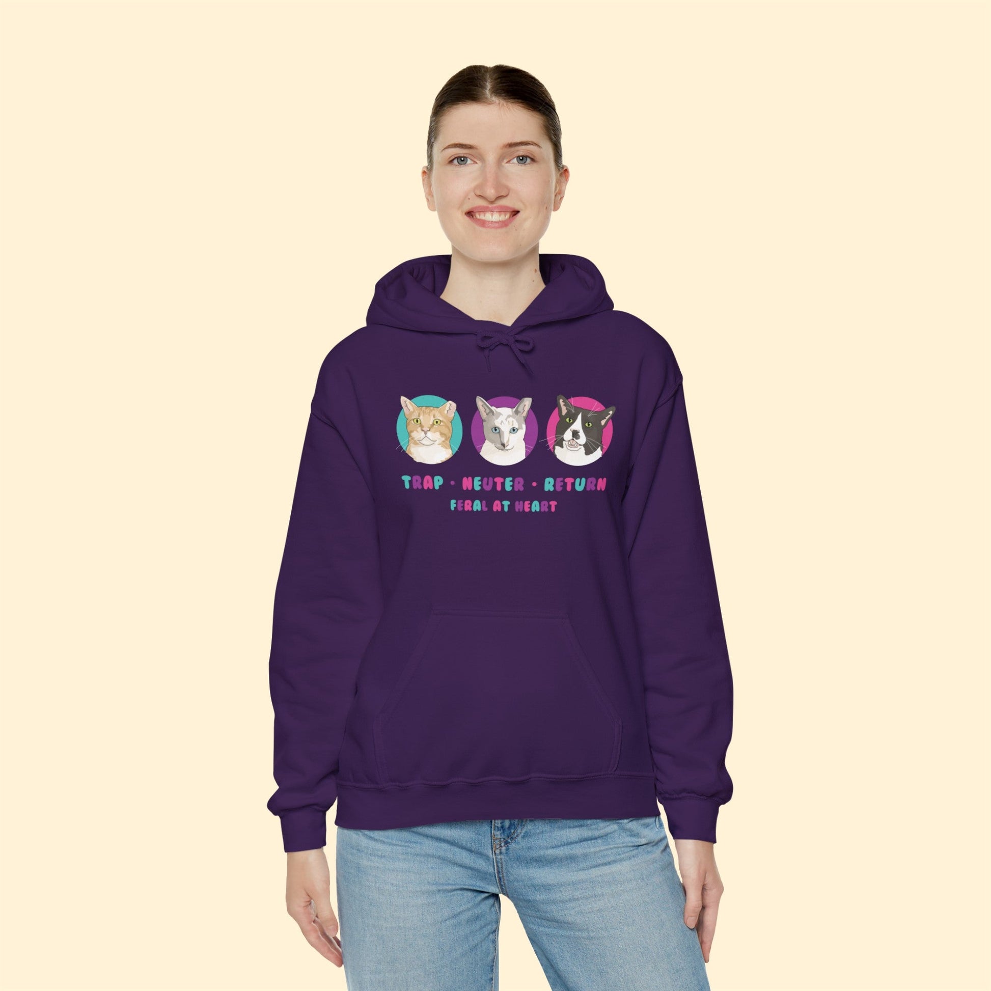 Colorful Kitties | FUNDRAISER for Feral At Heart | Hooded Sweatshirt - Detezi Designs-10322163244699682309