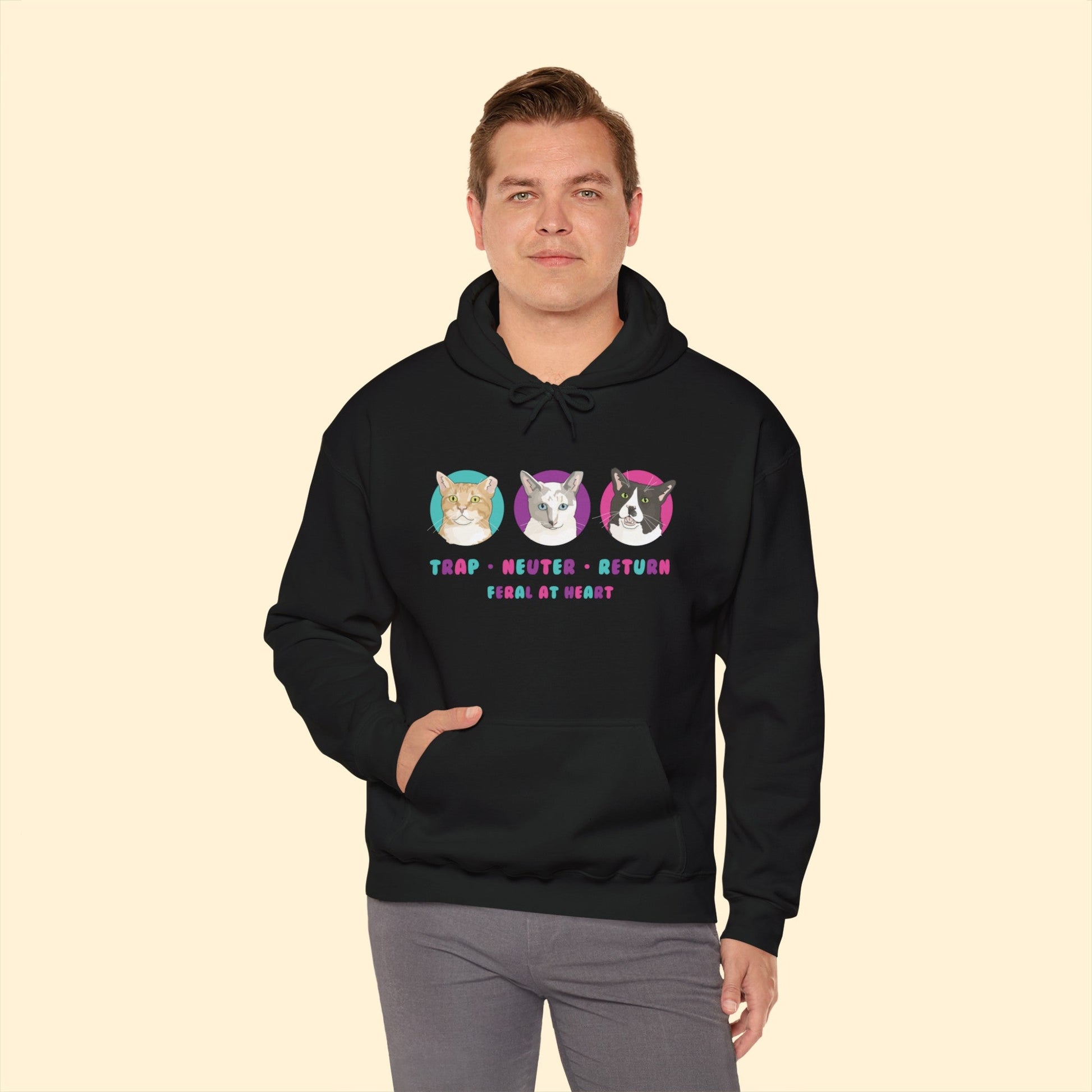 Colorful Kitties | FUNDRAISER for Feral At Heart | Hooded Sweatshirt - Detezi Designs-10322163244699682309