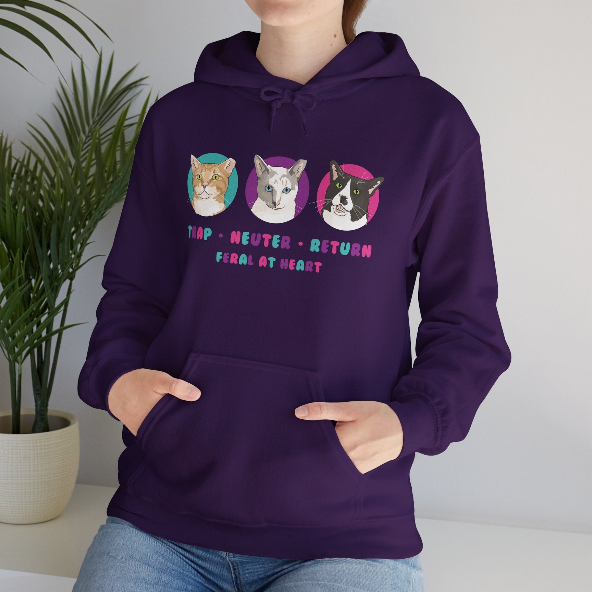 Colorful Kitties | FUNDRAISER for Feral At Heart | Hooded Sweatshirt - Detezi Designs-10322163244699682309