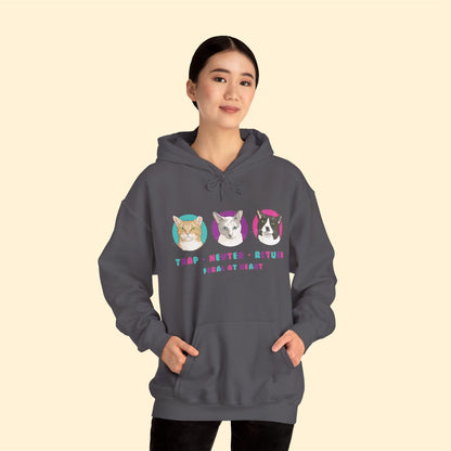 Colorful Kitties | FUNDRAISER for Feral At Heart | Hooded Sweatshirt - Detezi Designs-10322163244699682309