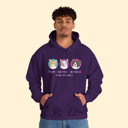 Colorful Kitties | FUNDRAISER for Feral At Heart | Hooded Sweatshirt - Detezi Designs-10322163244699682309