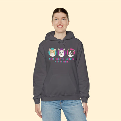 Colorful Kitties | FUNDRAISER for Feral At Heart | Hooded Sweatshirt - Detezi Designs-10322163244699682309