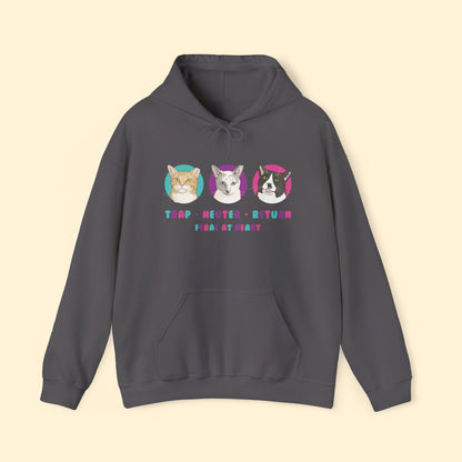 Colorful Kitties | FUNDRAISER for Feral At Heart | Hooded Sweatshirt - Detezi Designs-10322163244699682309