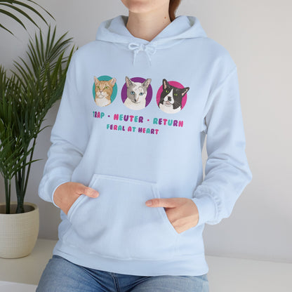 Colorful Kitties | FUNDRAISER for Feral At Heart | Hooded Sweatshirt - Detezi Designs-10322163244699682309