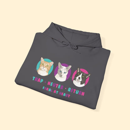 Colorful Kitties | FUNDRAISER for Feral At Heart | Hooded Sweatshirt - Detezi Designs-10322163244699682309