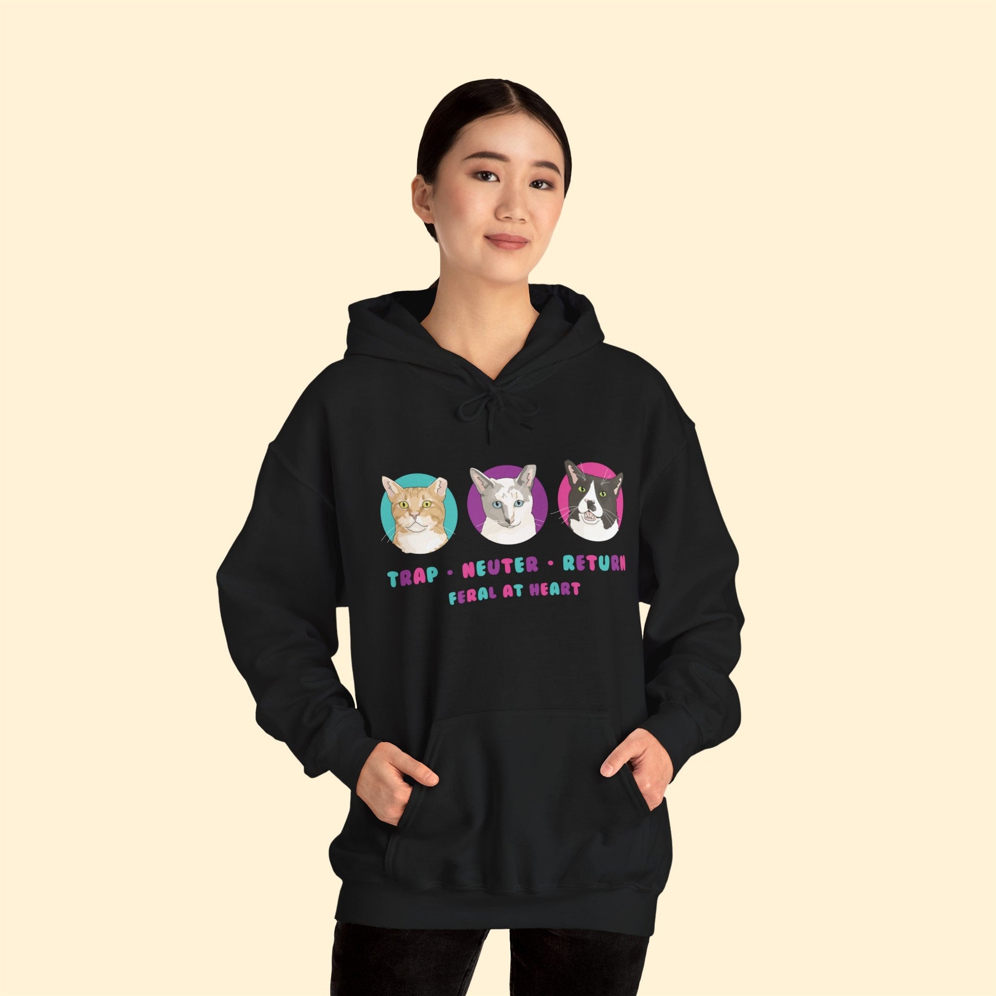 Colorful Kitties | FUNDRAISER for Feral At Heart | Hooded Sweatshirt - Detezi Designs-10322163244699682309