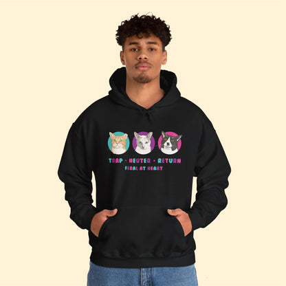 Colorful Kitties | FUNDRAISER for Feral At Heart | Hooded Sweatshirt - Detezi Designs-10322163244699682309