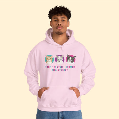 Colorful Kitties | FUNDRAISER for Feral At Heart | Hooded Sweatshirt - Detezi Designs-10322163244699682309