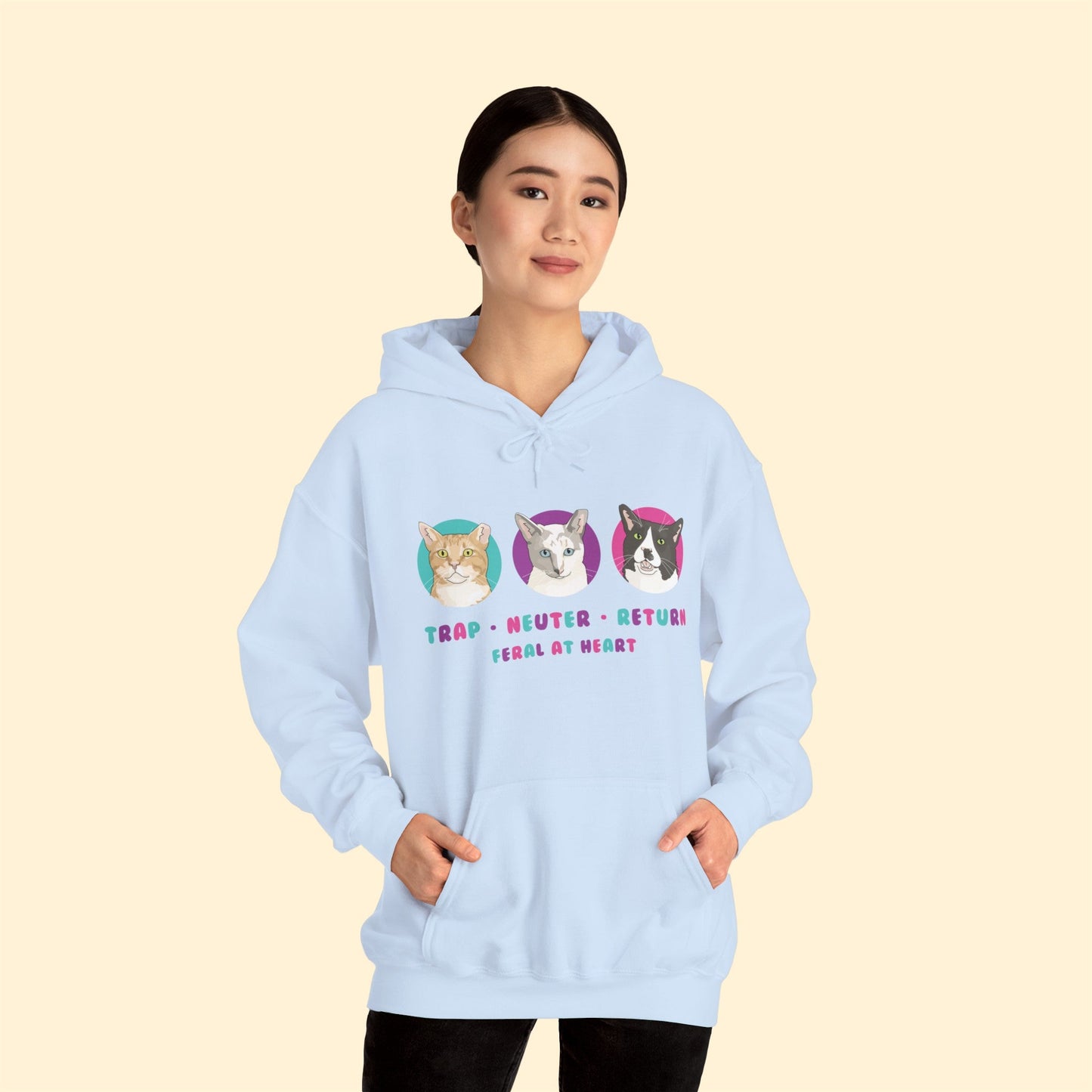 Colorful Kitties | FUNDRAISER for Feral At Heart | Hooded Sweatshirt - Detezi Designs-10322163244699682309