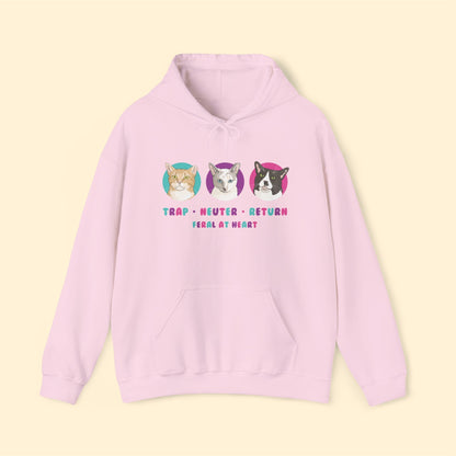 Colorful Kitties | FUNDRAISER for Feral At Heart | Hooded Sweatshirt - Detezi Designs-15941716632068159594