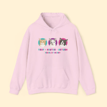 Colorful Kitties | FUNDRAISER for Feral At Heart | Hooded Sweatshirt - Detezi Designs - 15941716632068159594