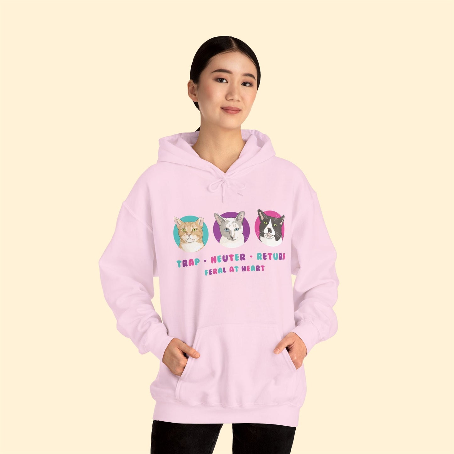 Colorful Kitties | FUNDRAISER for Feral At Heart | Hooded Sweatshirt - Detezi Designs - 15941716632068159594