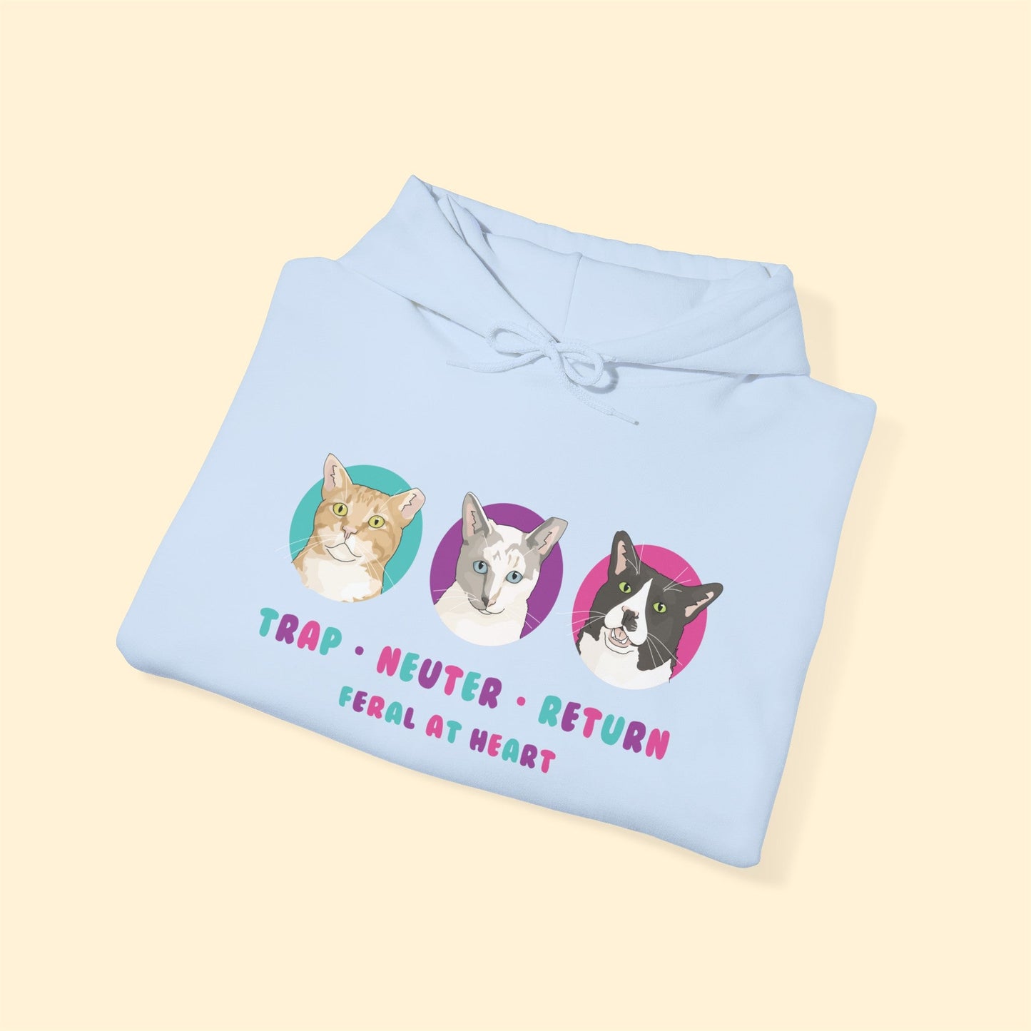 Colorful Kitties | FUNDRAISER for Feral At Heart | Hooded Sweatshirt - Detezi Designs-16135949556352028081