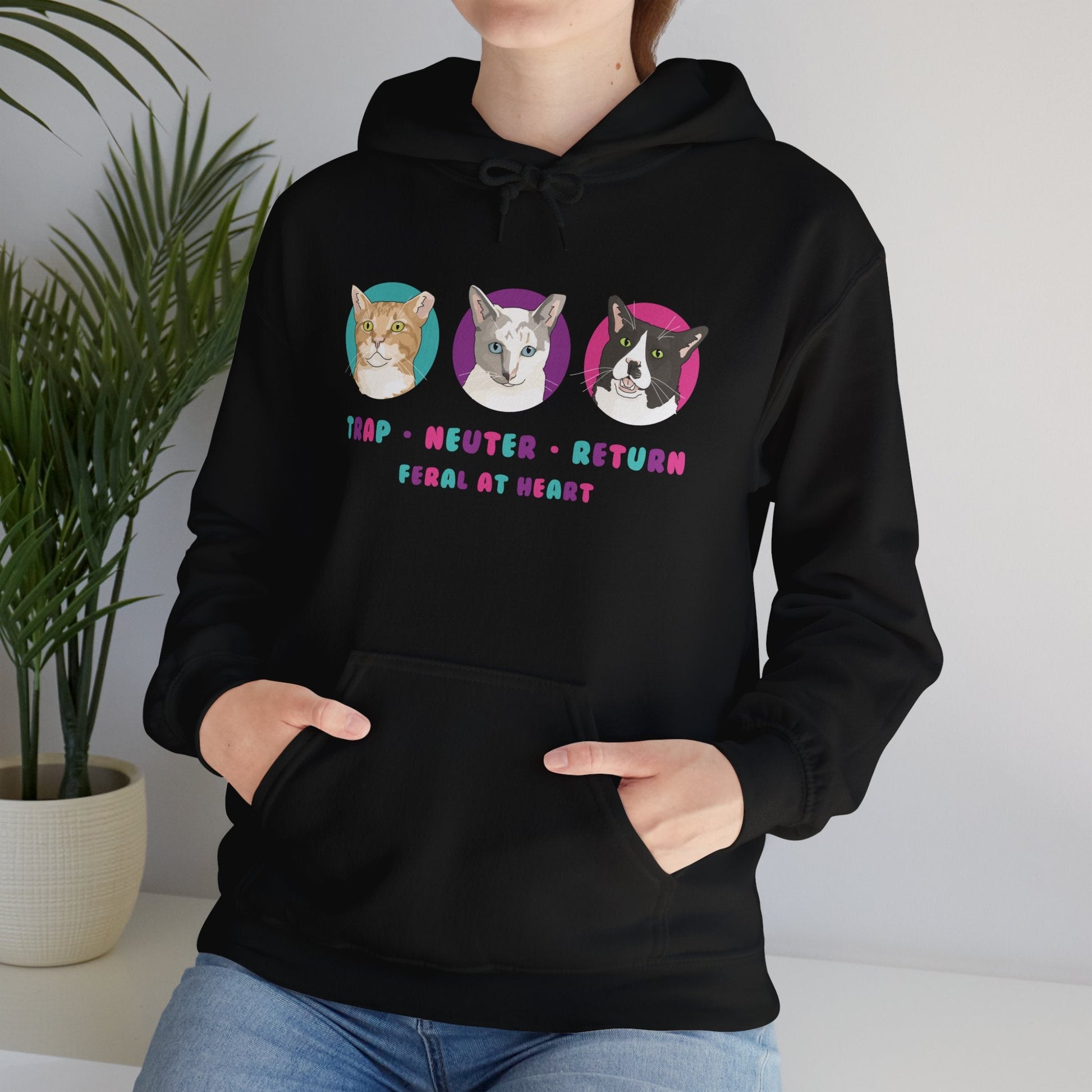 Colorful Kitties | FUNDRAISER for Feral At Heart | Hooded Sweatshirt - Detezi Designs-16135949556352028081