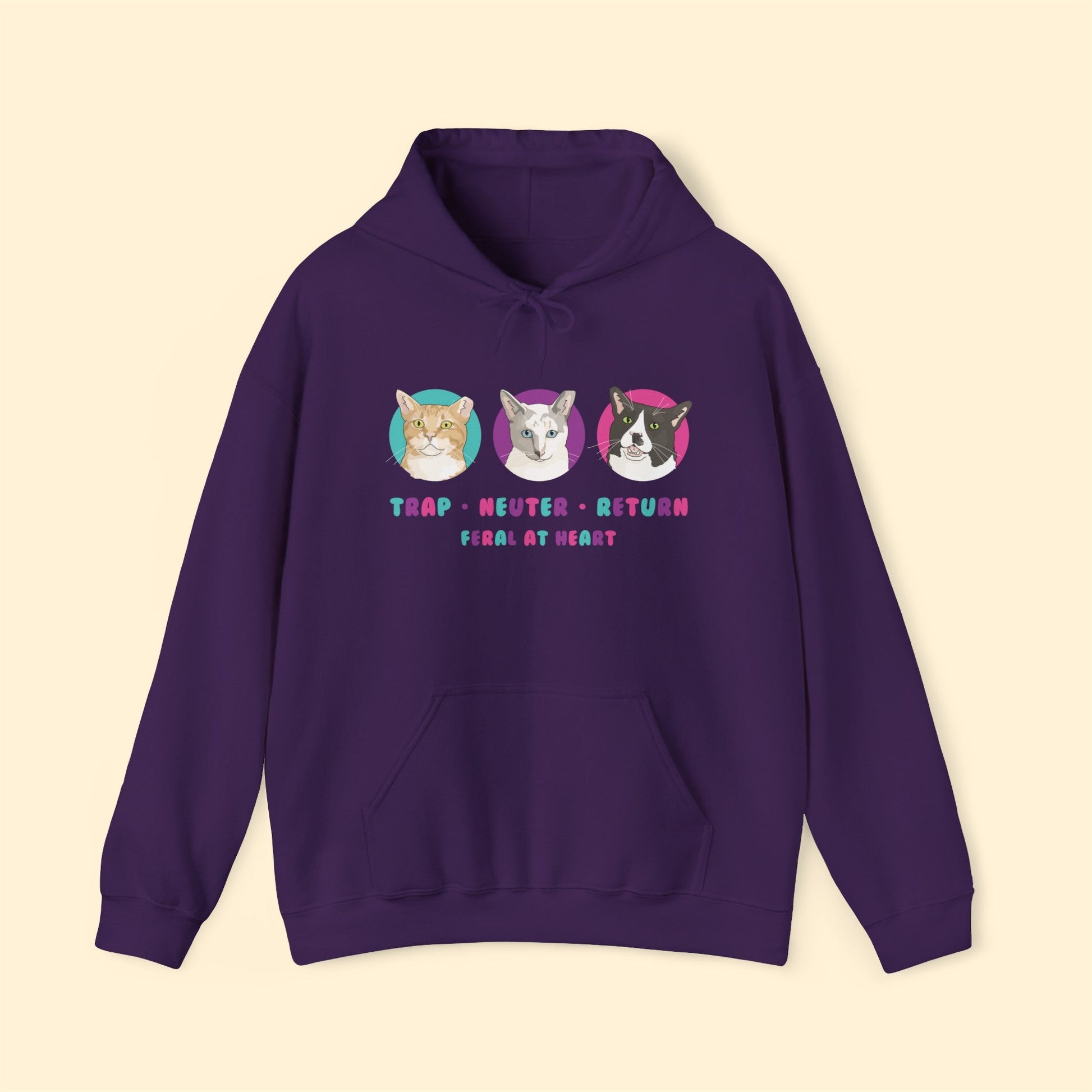 Colorful Kitties | FUNDRAISER for Feral At Heart | Hooded Sweatshirt - Detezi Designs-28980135547805503423