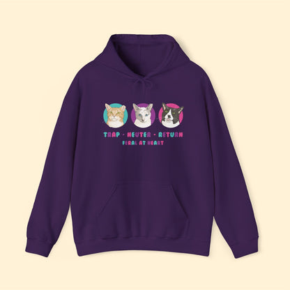 Colorful Kitties | FUNDRAISER for Feral At Heart | Hooded Sweatshirt - Detezi Designs-28980135547805503423