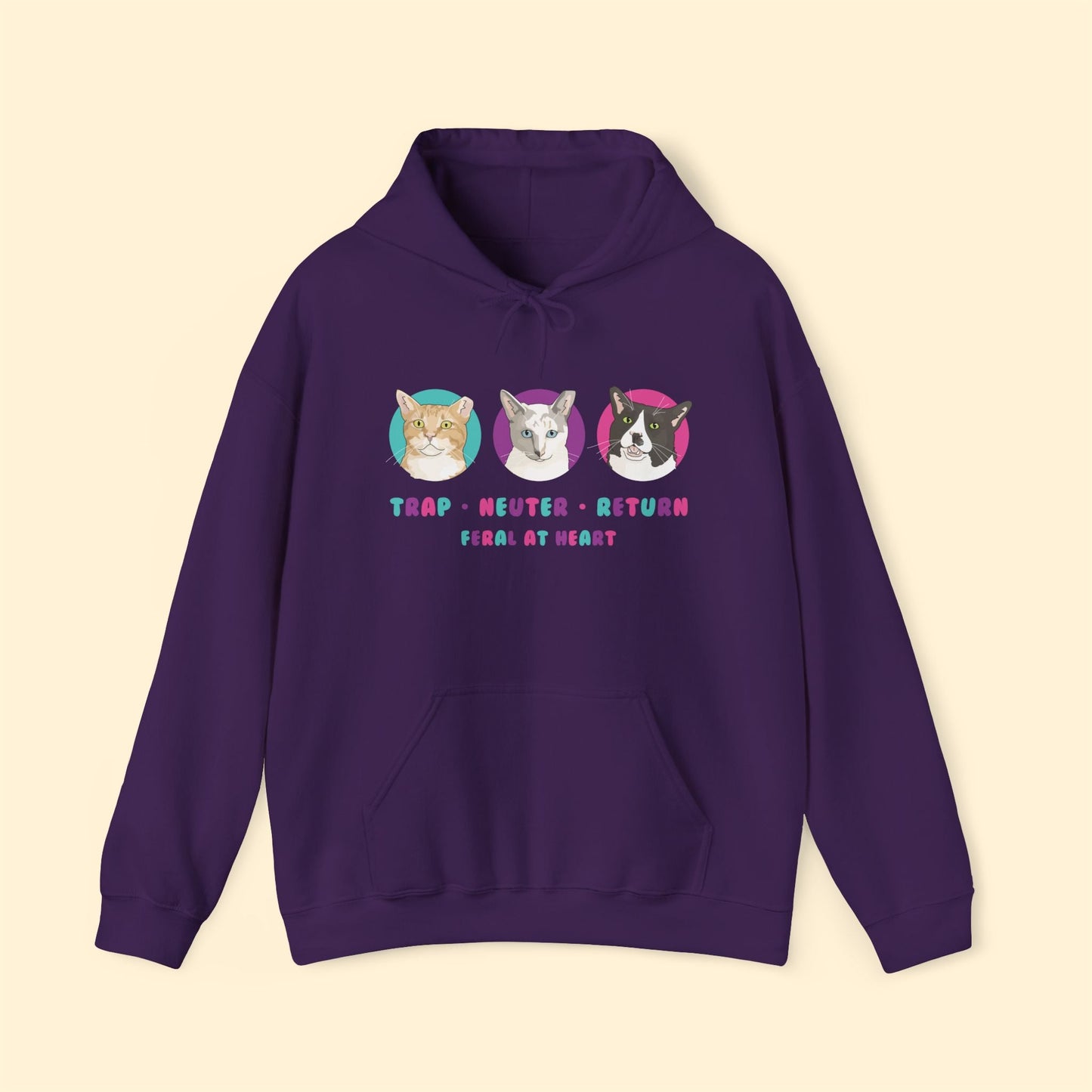 Colorful Kitties | FUNDRAISER for Feral At Heart | Hooded Sweatshirt - Detezi Designs - 28980135547805503423