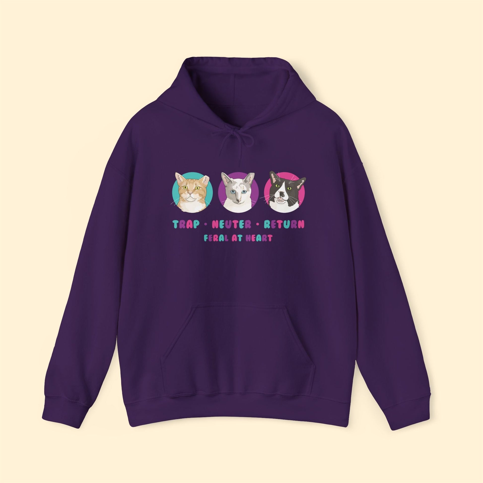 Colorful Kitties | FUNDRAISER for Feral At Heart | Hooded Sweatshirt - Detezi Designs - 28980135547805503423