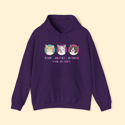Colorful Kitties | FUNDRAISER for Feral At Heart | Hooded Sweatshirt - Detezi Designs - 28980135547805503423
