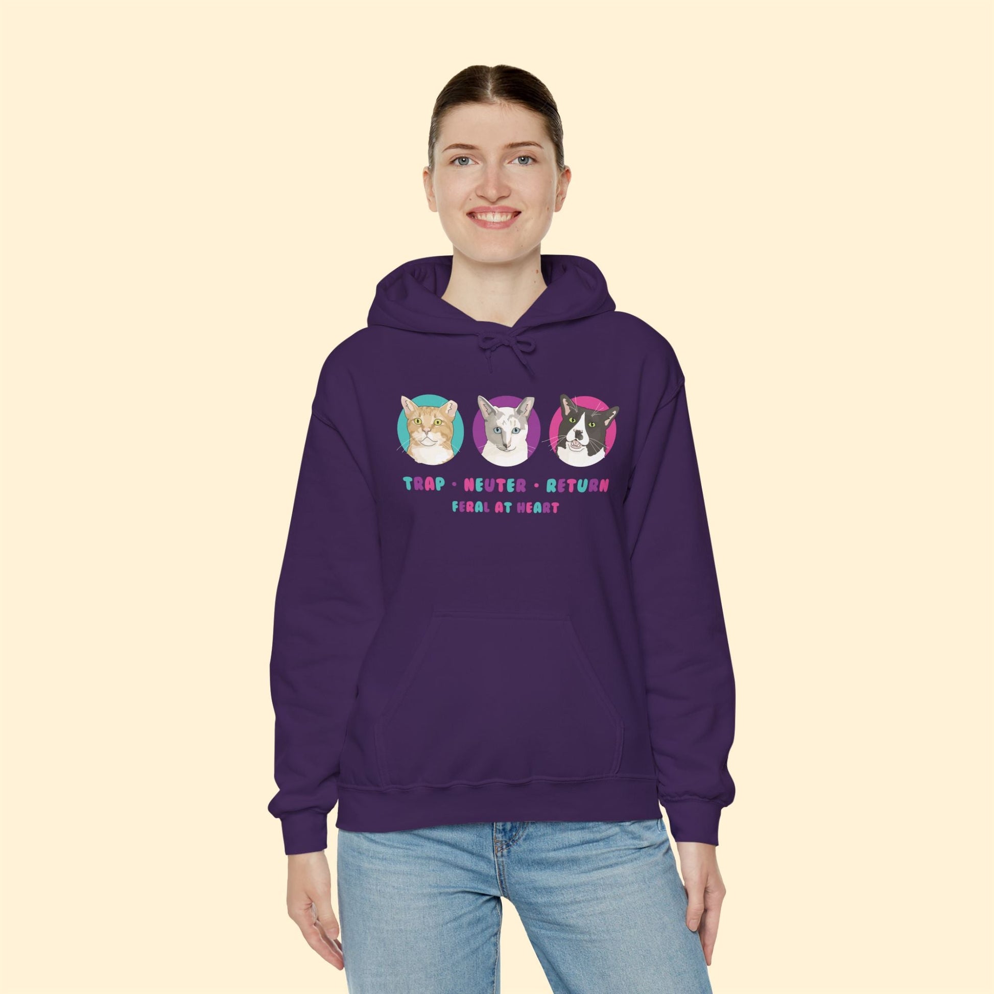 Colorful Kitties | FUNDRAISER for Feral At Heart | Hooded Sweatshirt - Detezi Designs - 32984675984290342599