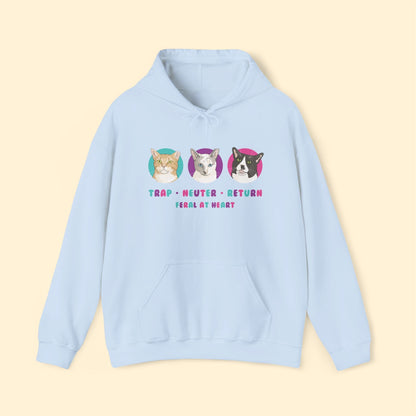 Colorful Kitties | FUNDRAISER for Feral At Heart | Hooded Sweatshirt - Detezi Designs - 32984675984290342599
