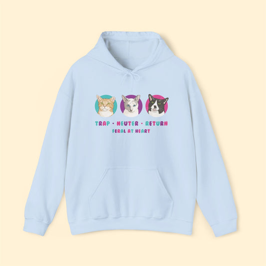Colorful Kitties | FUNDRAISER for Feral At Heart | Hooded Sweatshirt - Detezi Designs - 32984675984290342599