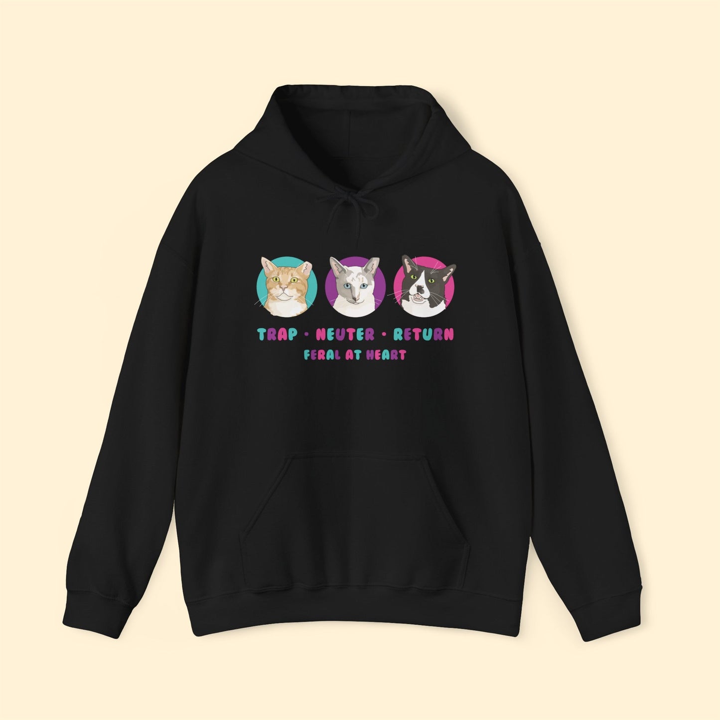 Colorful Kitties | FUNDRAISER for Feral At Heart | Hooded Sweatshirt - Detezi Designs-53758813286446040668