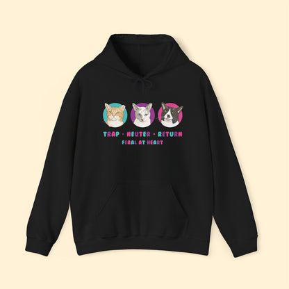 Colorful Kitties | FUNDRAISER for Feral At Heart | Hooded Sweatshirt - Detezi Designs - 53758813286446040668