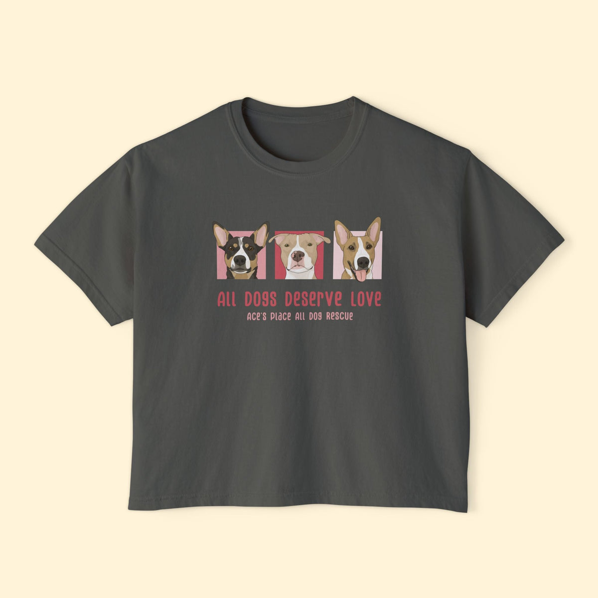 Comfort Colors Boxy Tee | FUNDRAISER | Ace's Place All Dog Rescue - Detezi Designs-97942241352173437702