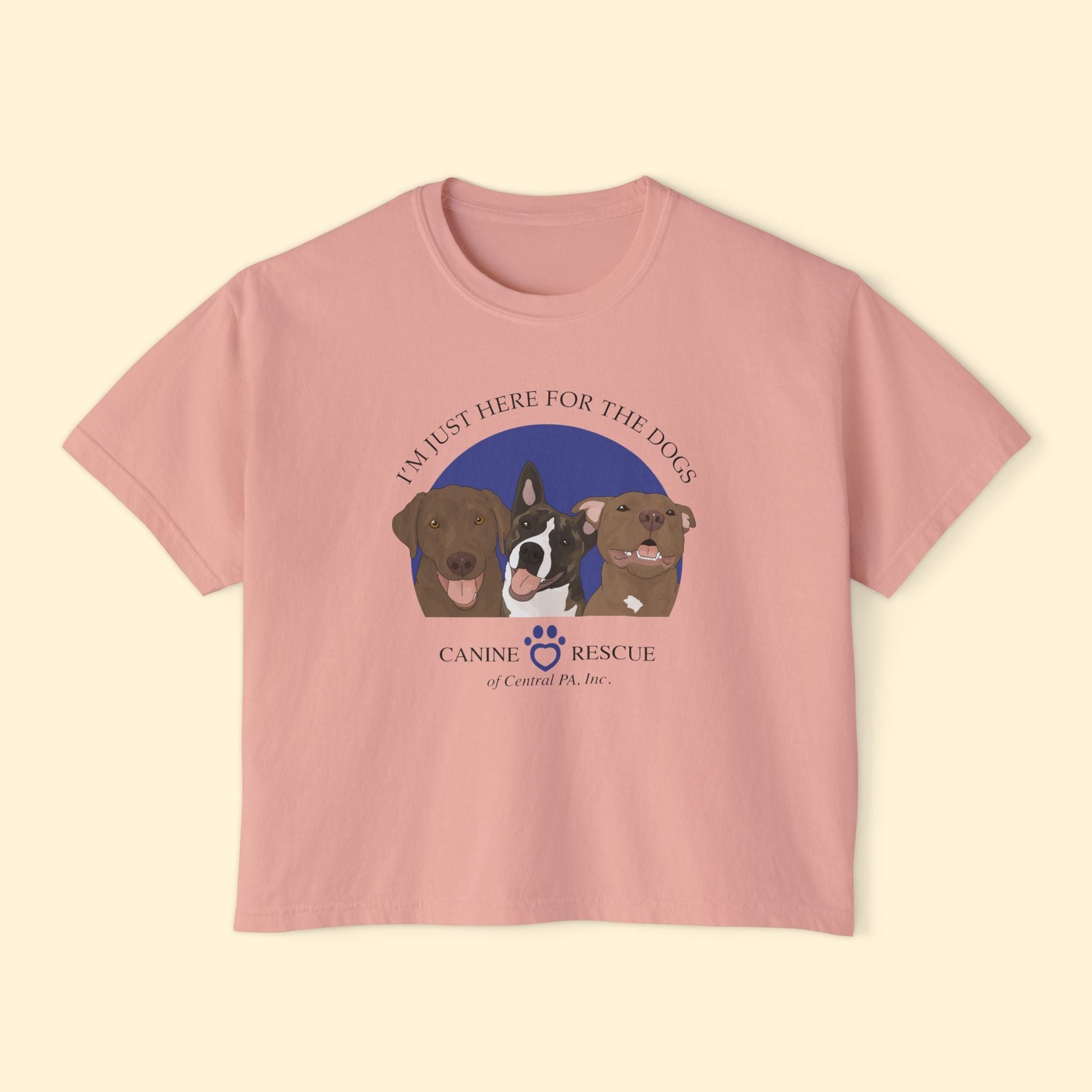 Comfort Colors Boxy Tee | FUNDRAISER | Canine Rescue of Central PA - Detezi Designs - 16895812579621818811