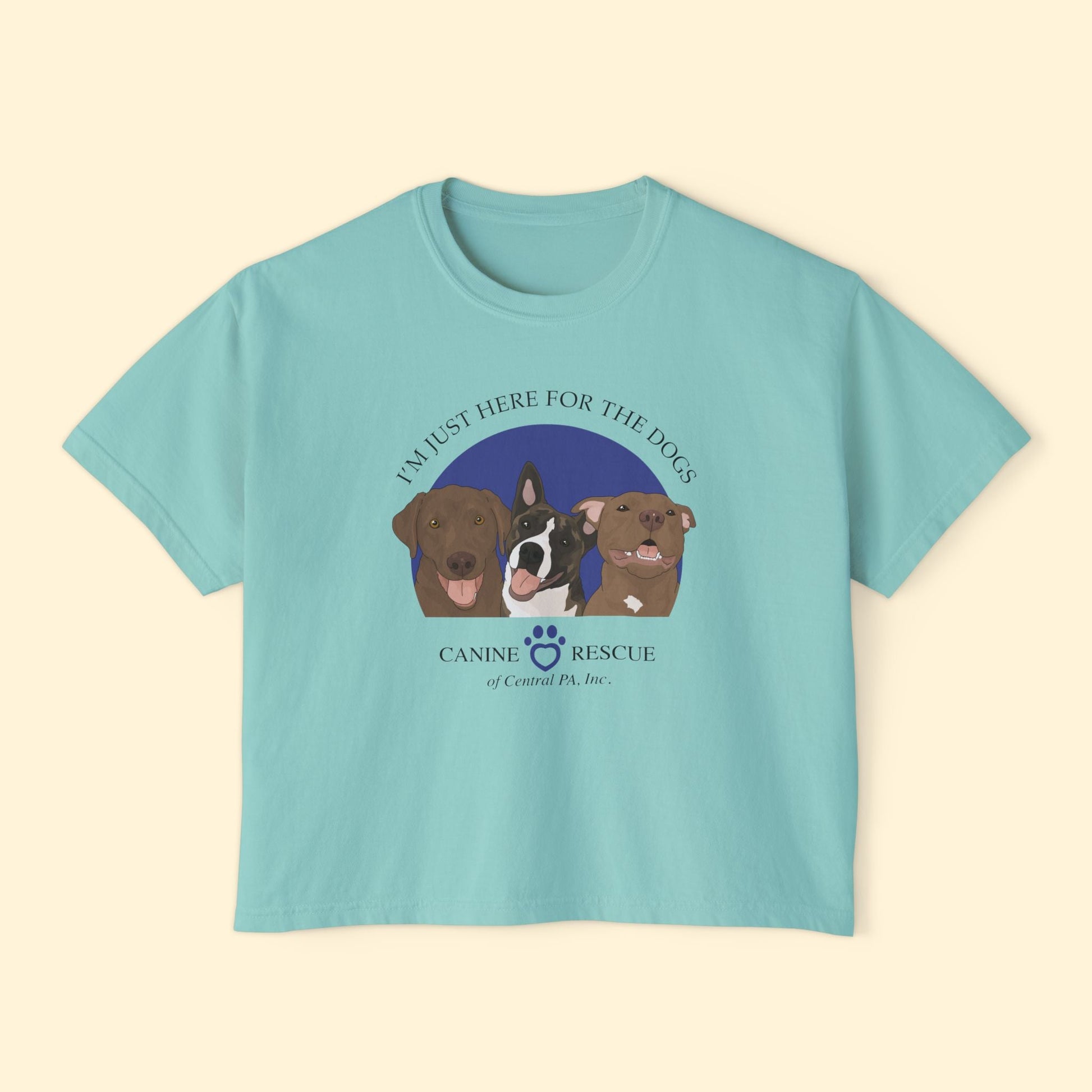 Comfort Colors Boxy Tee | FUNDRAISER | Canine Rescue of Central PA - Detezi Designs - 26215187880841435341