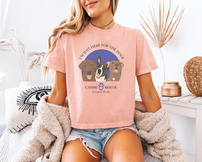 Comfort Colors Boxy Tee | FUNDRAISER | Canine Rescue of Central PA - Detezi Designs - 26215187880841435341