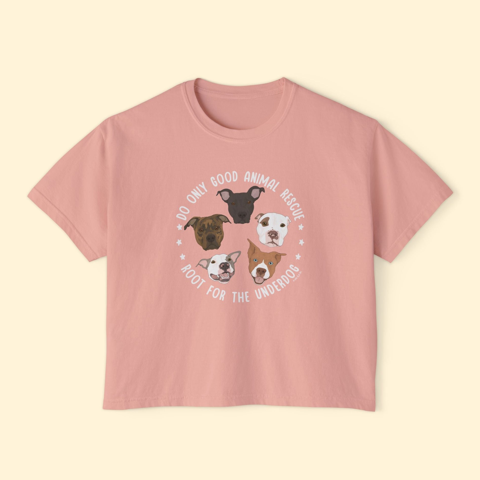 Comfort Colors Boxy Tee | FUNDRAISER | Do Only Good - Detezi Designs - 13514577451554428290