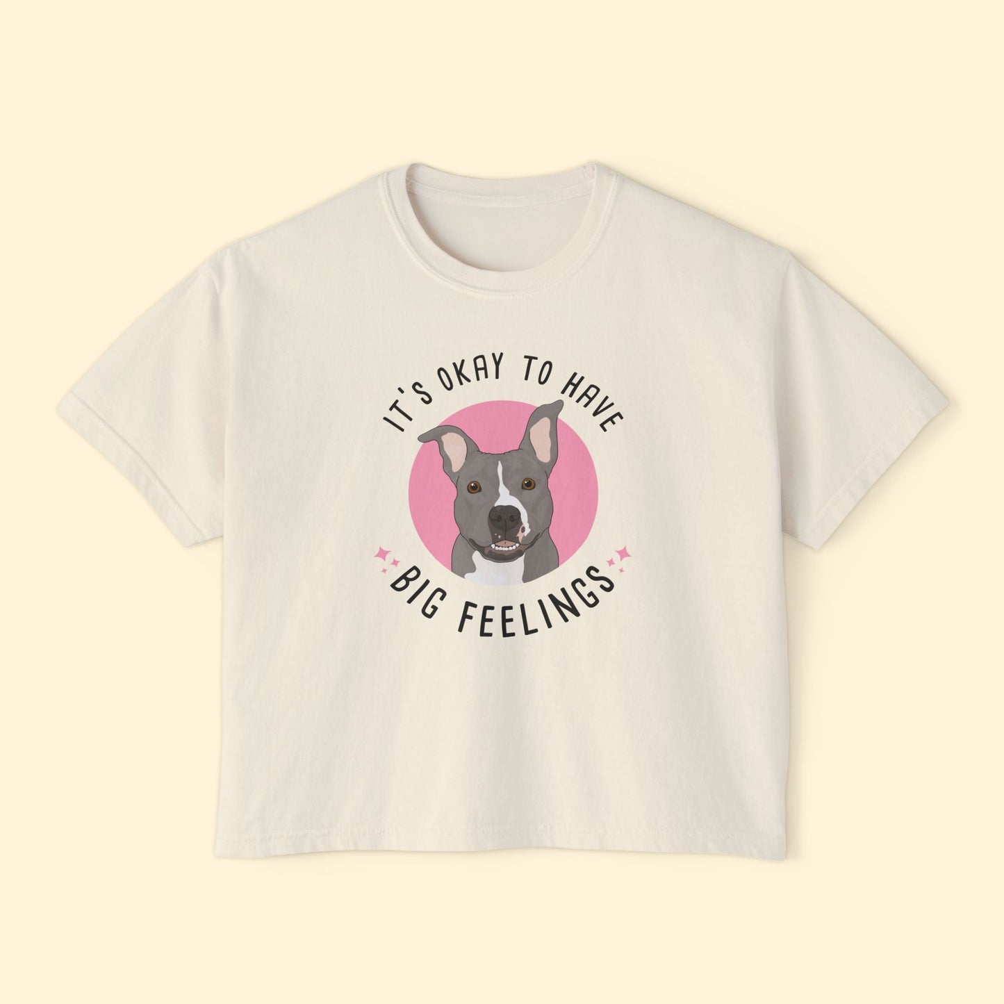 Comfort Colors Boxy Tee | FUNDRAISER | Friends of City Dogs Cleveland - Detezi Designs-13851965199737552594