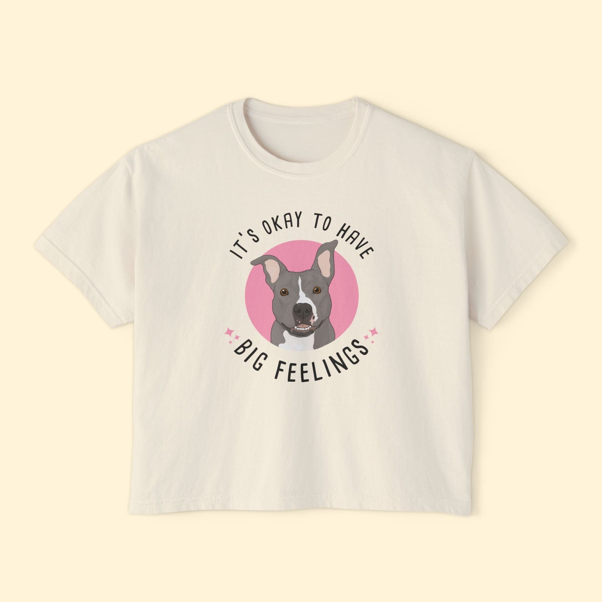 Comfort Colors Boxy Tee | FUNDRAISER | Friends of City Dogs Cleveland - Detezi Designs-13851965199737552594
