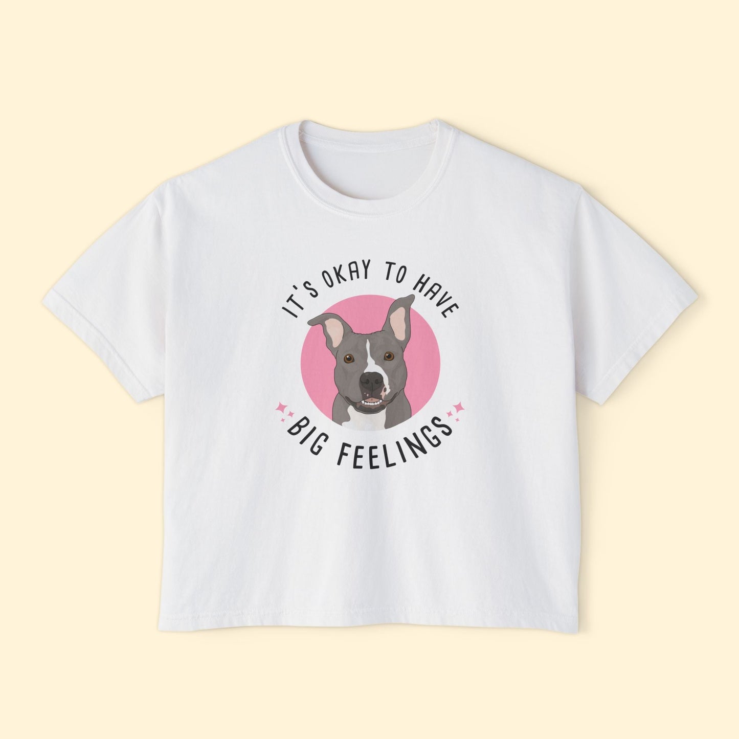 Comfort Colors Boxy Tee | FUNDRAISER | Friends of City Dogs Cleveland - Detezi Designs-14731252050183497446