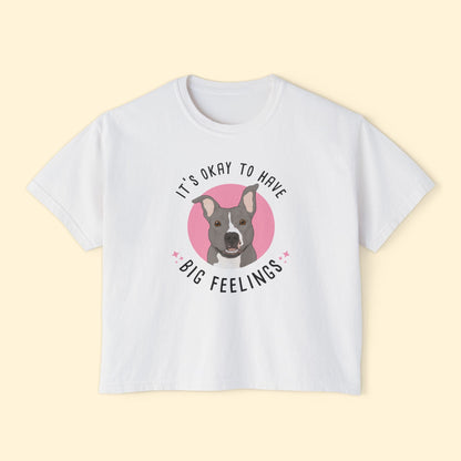 Comfort Colors Boxy Tee | FUNDRAISER | Friends of City Dogs Cleveland - Detezi Designs-14731252050183497446