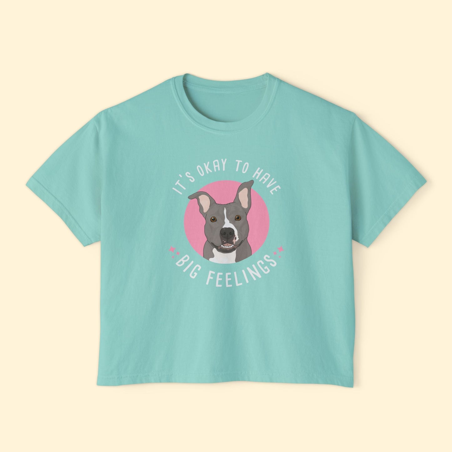 Comfort Colors Boxy Tee | FUNDRAISER | Friends of City Dogs Cleveland - Detezi Designs-16958080899384813167