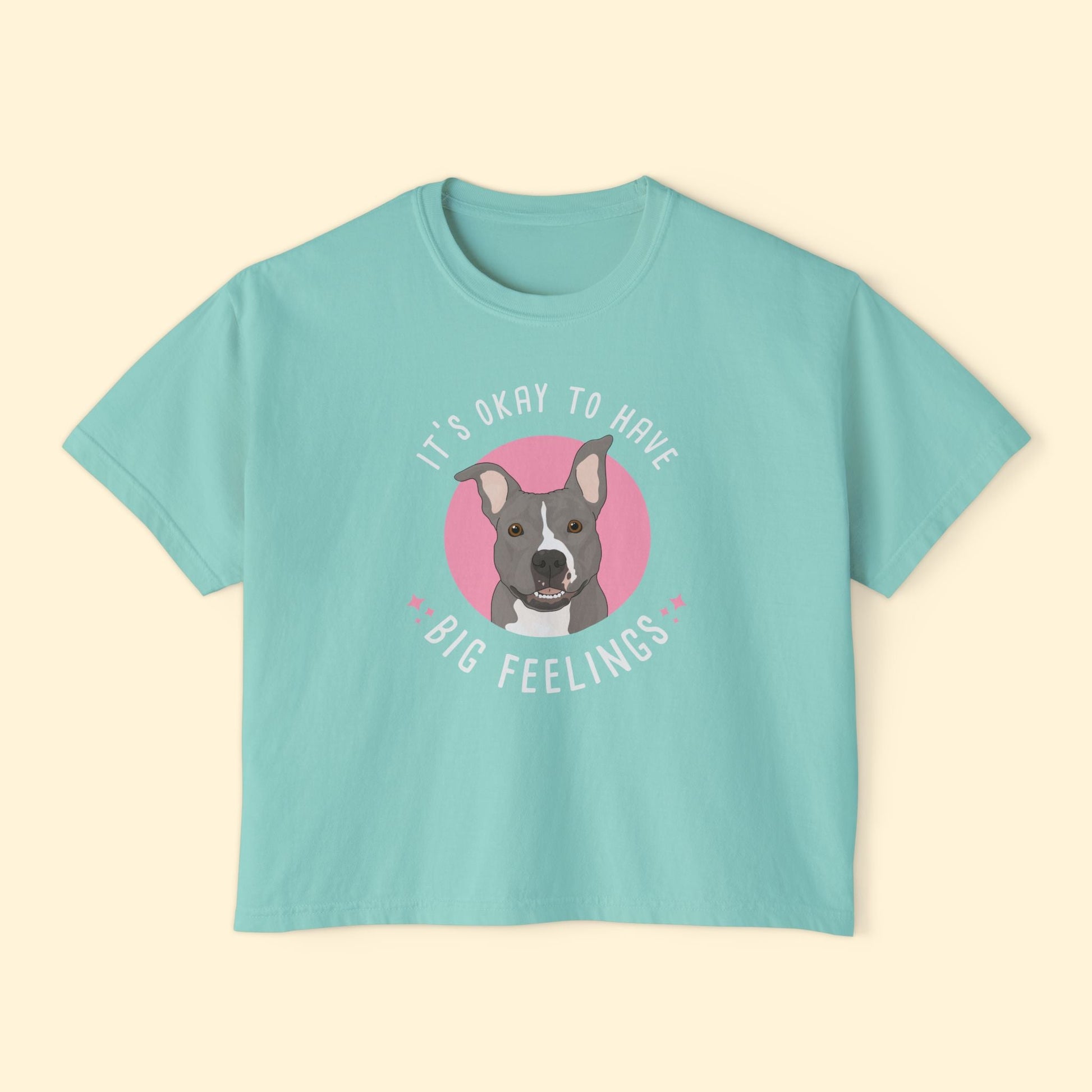 Comfort Colors Boxy Tee | FUNDRAISER | Friends of City Dogs Cleveland - Detezi Designs-16958080899384813167