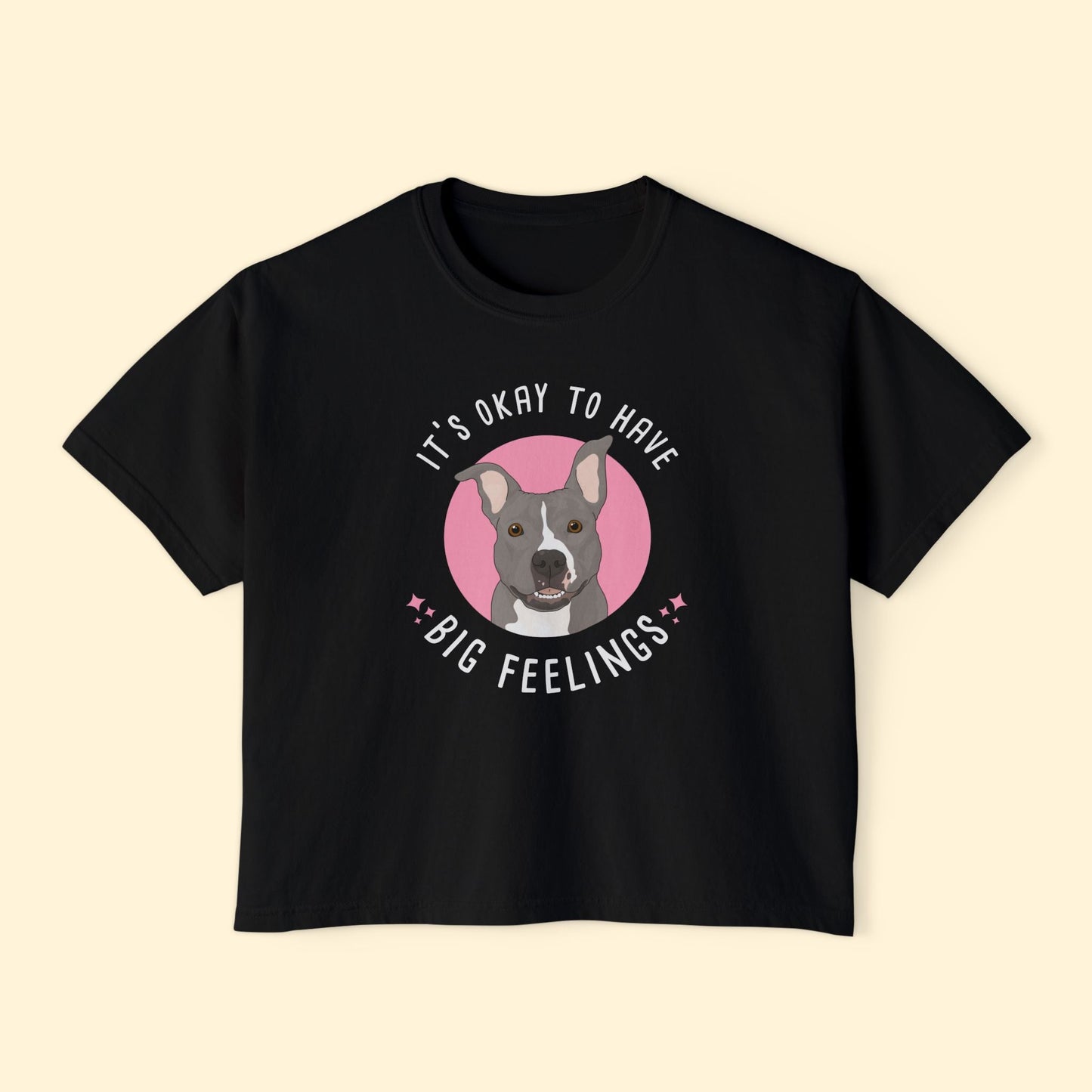 Comfort Colors Boxy Tee | FUNDRAISER | Friends of City Dogs Cleveland - Detezi Designs-20825544671639045187