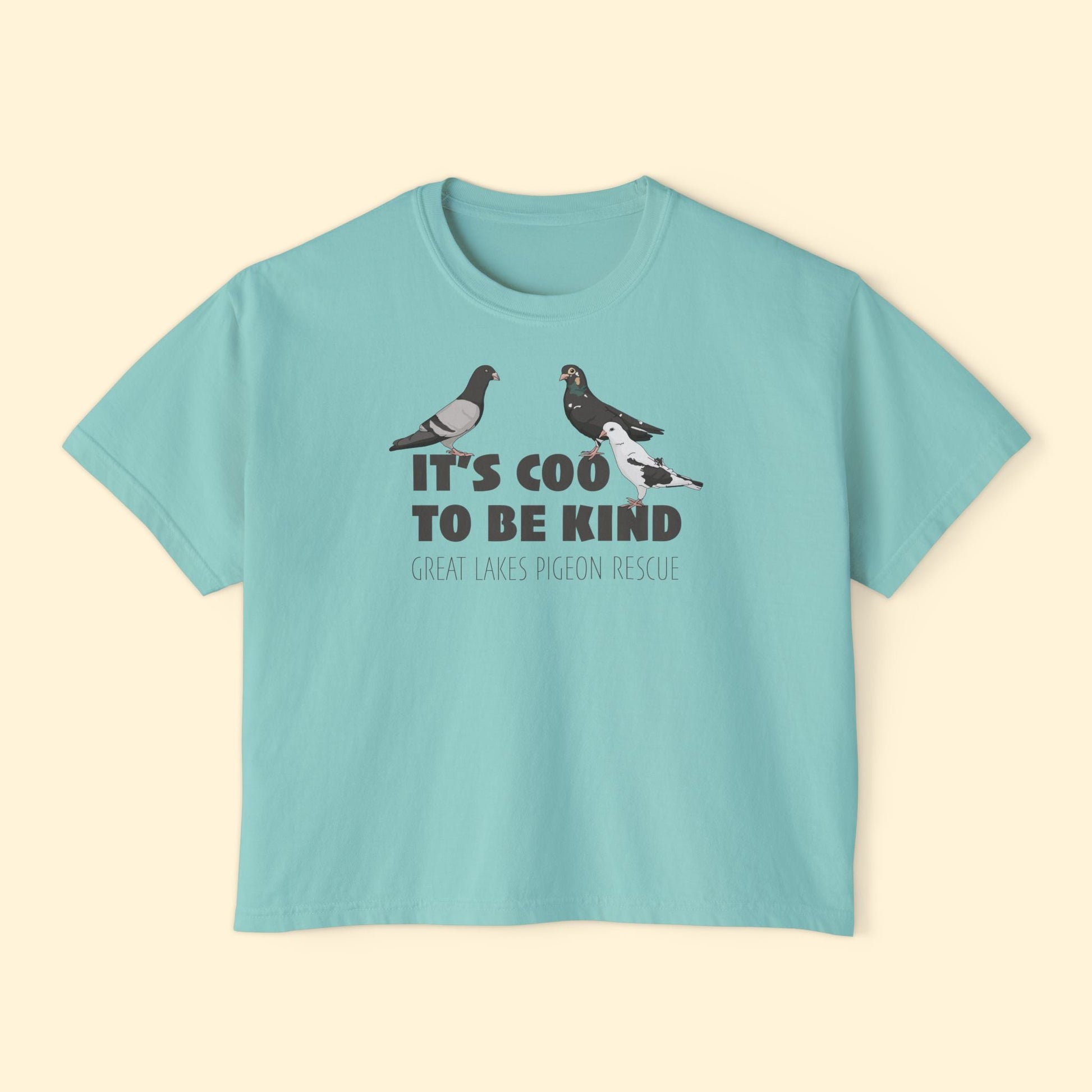 Comfort Colors Boxy Tee | FUNDRAISER | Great Lakes Pigeon Rescue - Detezi Designs - 12359689001991598341