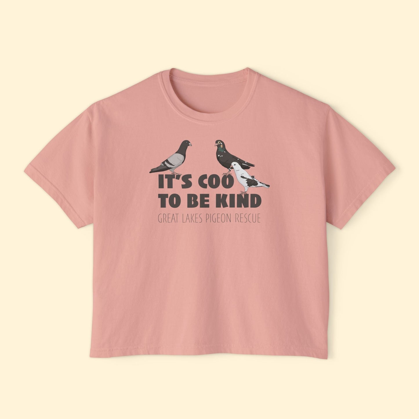 Comfort Colors Boxy Tee | FUNDRAISER | Great Lakes Pigeon Rescue - Detezi Designs - 13991710917773326385