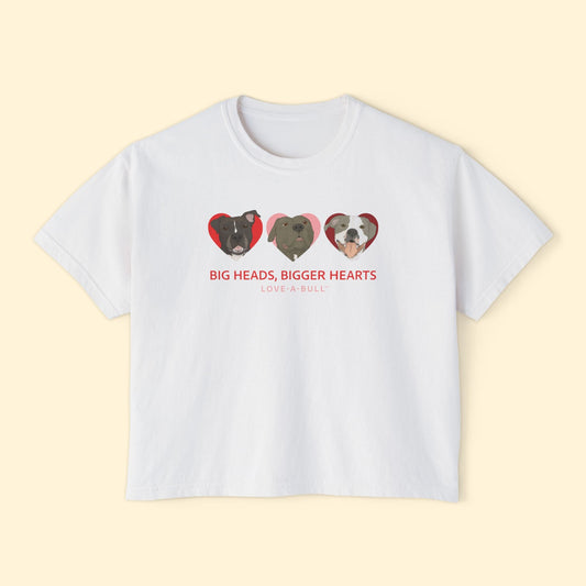 Comfort Colors Boxy Tee | FUNDRAISER | Love - A - Bull - Detezi Designs - 28669865739210287263