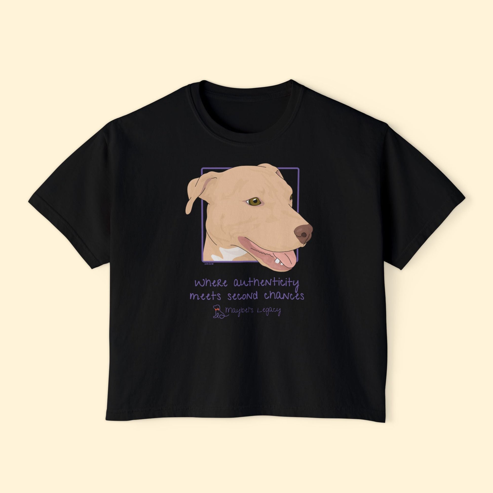 Comfort Colors Boxy Tee | FUNDRAISER | Maybel's Legacy - Detezi Designs - 31432448096915280404