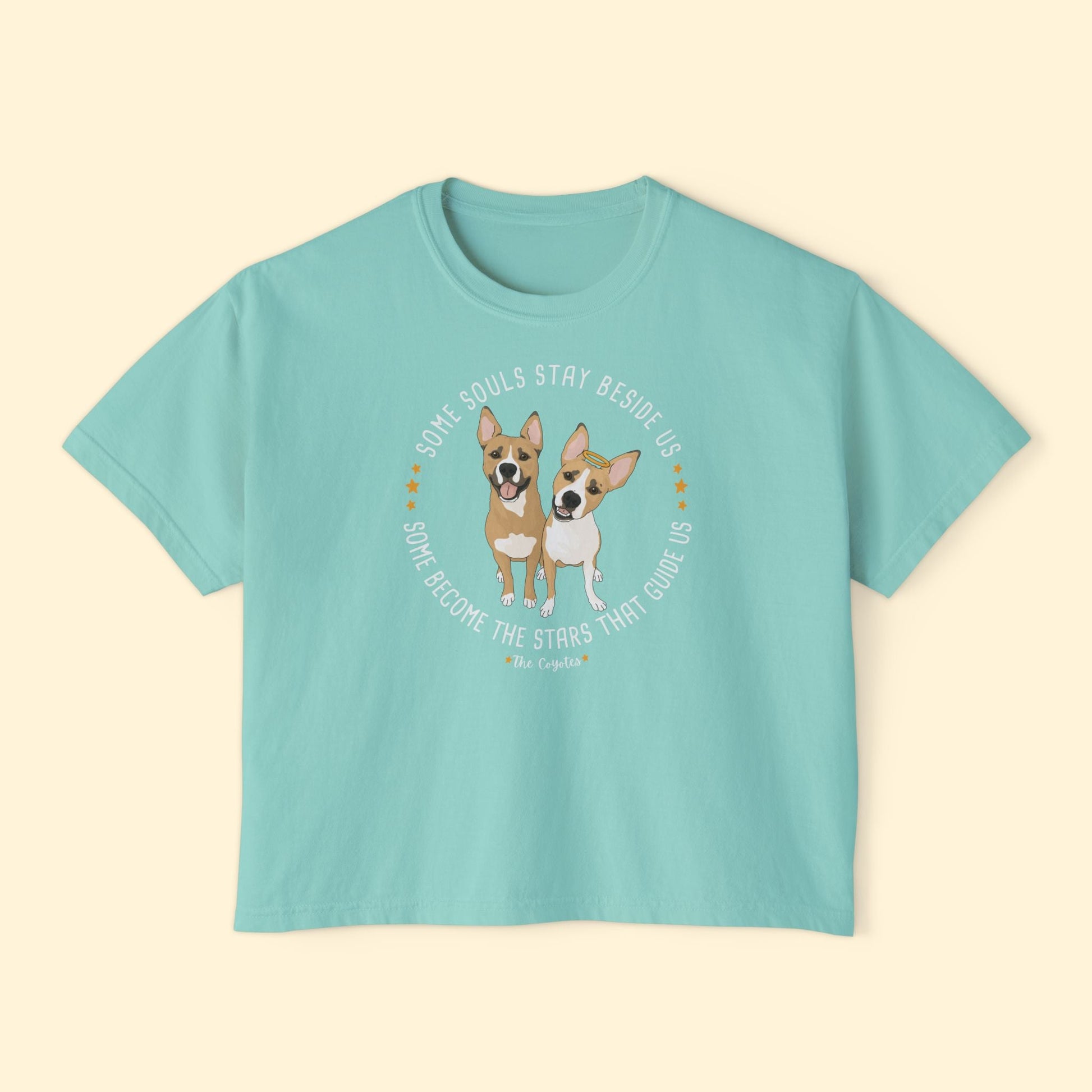 Comfort Colors Boxy Tee | FUNDRAISER | The KG Foundation | Nutty & Barney - Detezi Designs-18754652234682034999