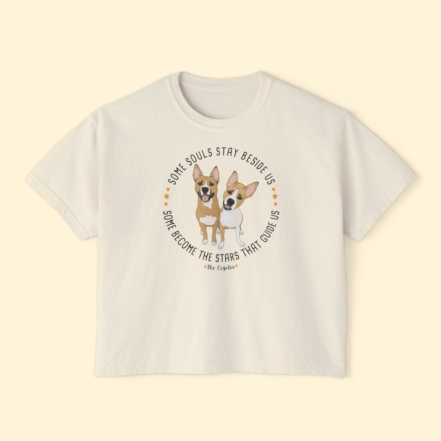 Comfort Colors Boxy Tee | FUNDRAISER | The KG Foundation | Nutty & Barney - Detezi Designs-23325324290975252218