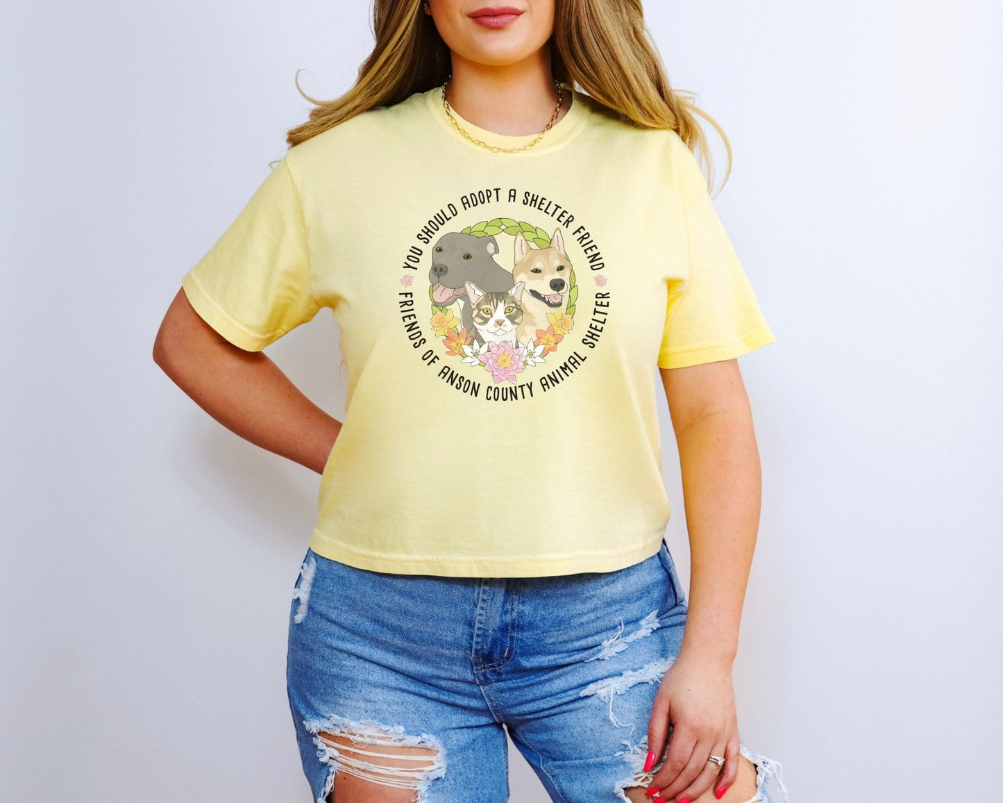 Copy of Comfort Colors Boxy Tee | FUNDRAISER | Friends of Anson County Animal Shelter | Spring - Detezi Designs - 58375566371441976581