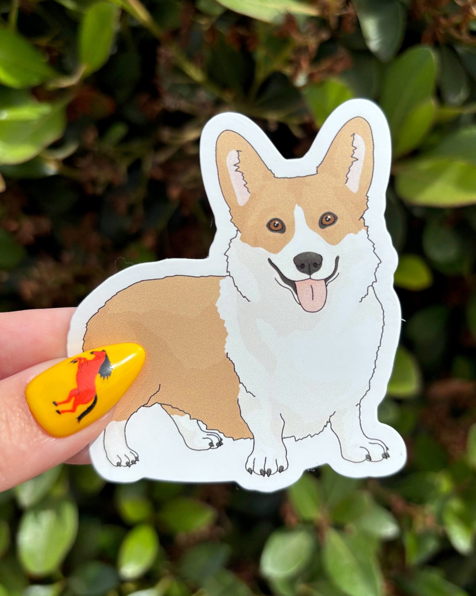 Corgi | Vinyl Sticker - Detezi Designs - 